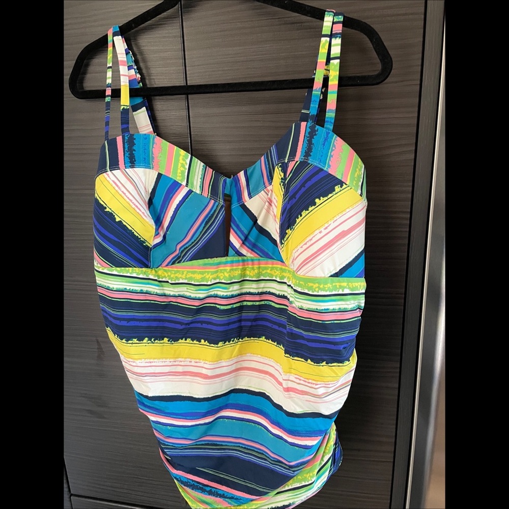 Multi-colored Plus One Piece Swimsuit